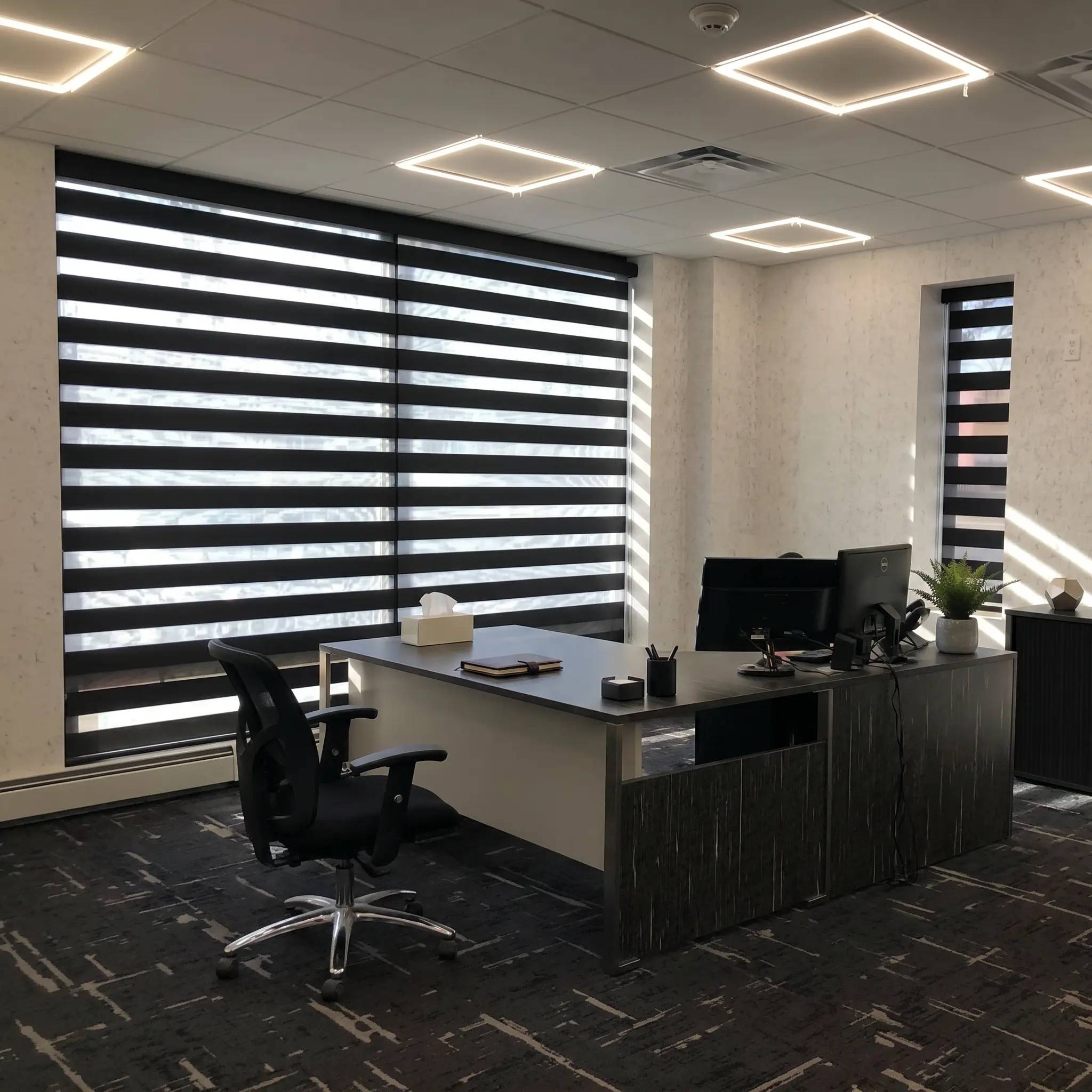 Zebra Blinds 2